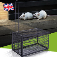 2-Pack Metal Rat Catcher Spring Cage Trap, Secure and Humane Rodent Control
