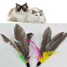 Load image into Gallery viewer, Cat Feather Wand Stick Wire Teaser Kitten Toy Dangle Bell Interactive Play Toys
