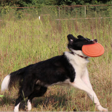 Load image into Gallery viewer, KoKobase Soft Rubber Summer Beach Frisbee Dog Pet Throwing Flying Disc KOKOBASE
