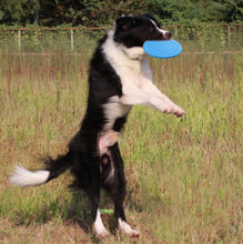 Load image into Gallery viewer, KoKobase Soft Rubber Summer Beach Frisbee Dog Pet Throwing Flying Disc KOKOBASE
